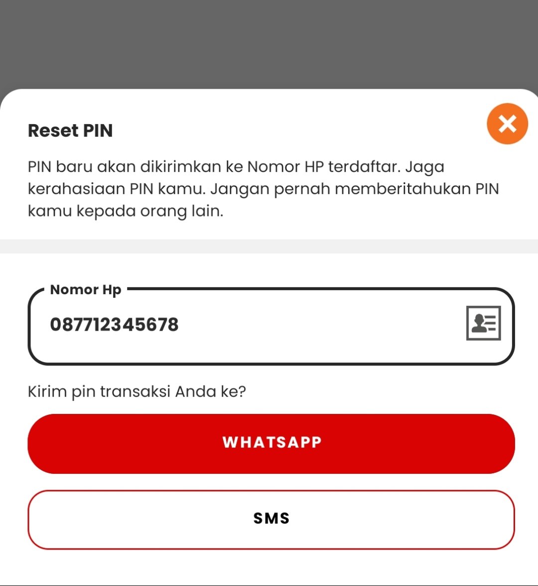 Foto Reset PIN
